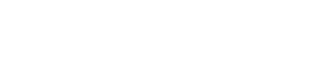 Project Logo