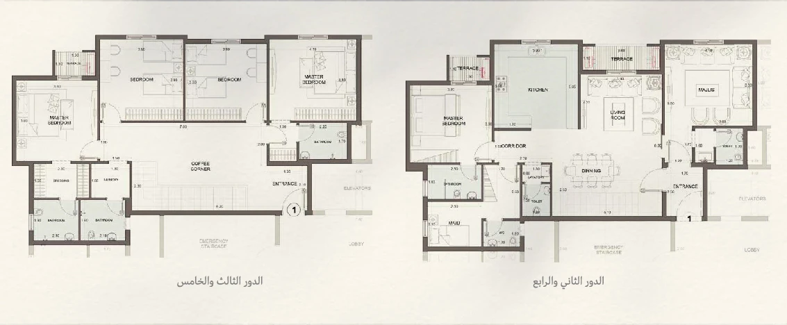 نموذج 21
