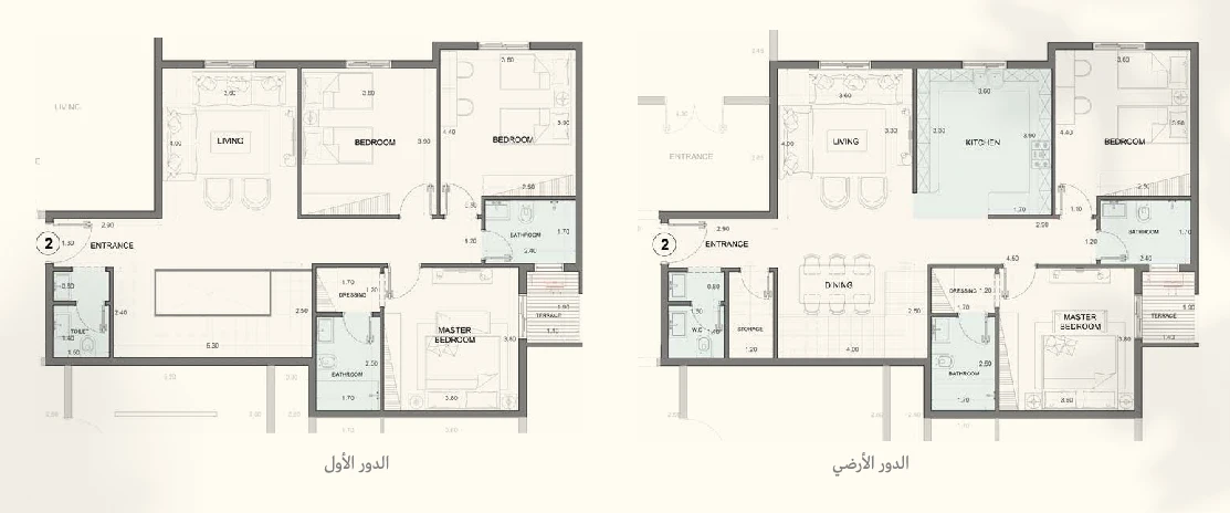 نموذج 31